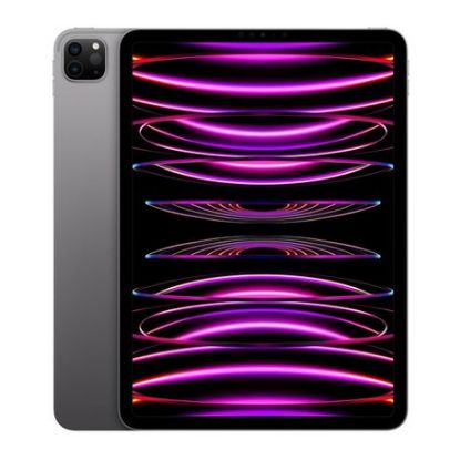 Imagem de Tablet PC Apple iPad Pro (4ª Geração) 11" M2 IPS 256GB Wi-Fi Cinza Sideral
