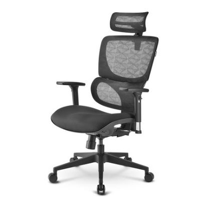 Imagem de Cadeira Ergonómica Sharkoon OfficePal C30 Preta