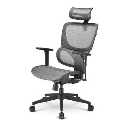 Imagem de Cadeira Ergonómica Sharkoon OfficePal C30M Cinza