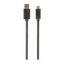 Imagem de Cabo USB3.0 p/ Type-C Gembird Preto - 1.8Mtr