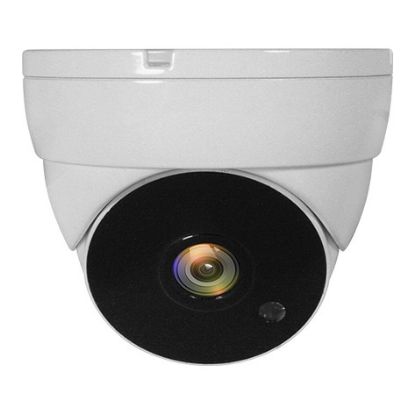 Imagem de Câmara de Vigilância Exterior Level One ACS-5302 Dome FullHD 1080p